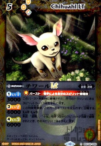 画像1: チワールLT(R/X仕様)(BSC42-059) (1)