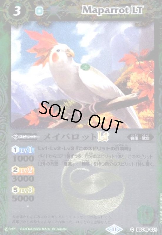 画像1: メイパロットLT(C/X仕様)(BSC45-034) (1)