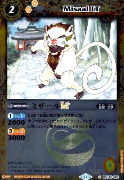 画像1: ミザールLT(C/X仕様)(BSC45-060) (1)