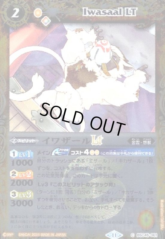 画像1: イワザールLT(C/X仕様)(BSC45-061) (1)