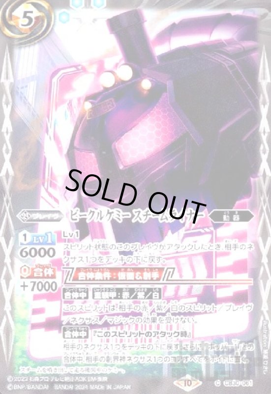 画像1: ビークルケミー スチームライナー(C)(CB30-061) (1)