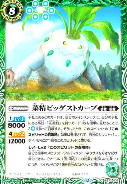 画像1: 菜精ビッゲストカーブ(C)(BS72-032) (1)