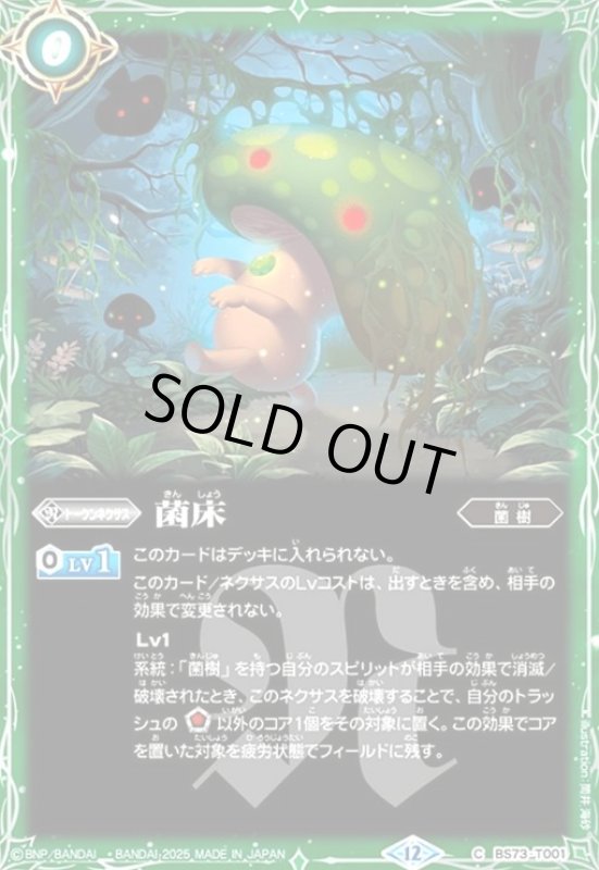 画像1: 菌床(C)(BS73-T001) (1)