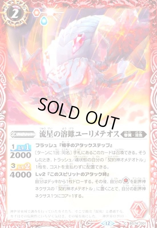 画像1: 星槍貝オルソセラスピア(C)(BS74-002) (1)