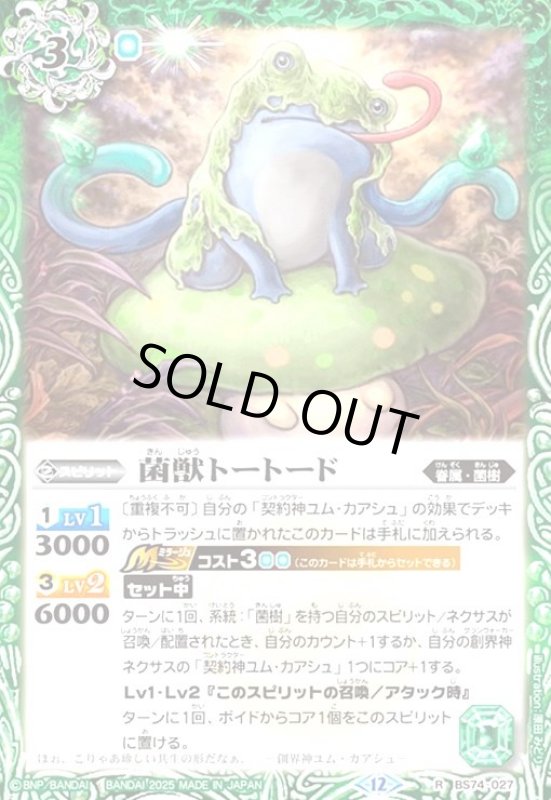 画像1: 大地の忍ダイビートX(R)(BS74-036) (1)