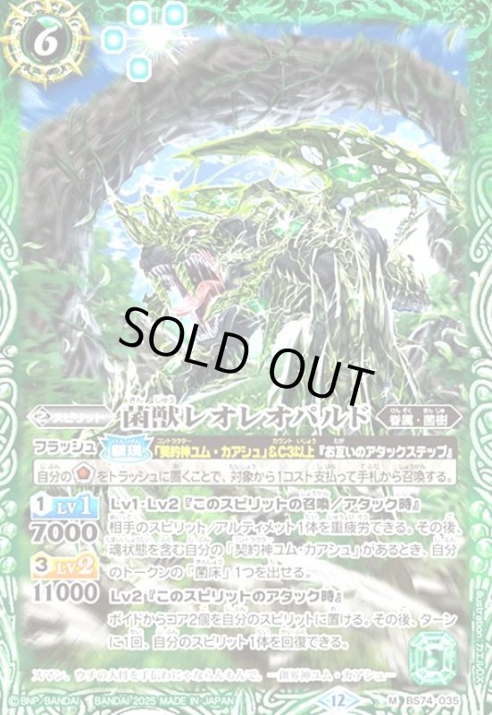 画像1: 天啓龍・知のイクティース(M)(BS74-042) (1)