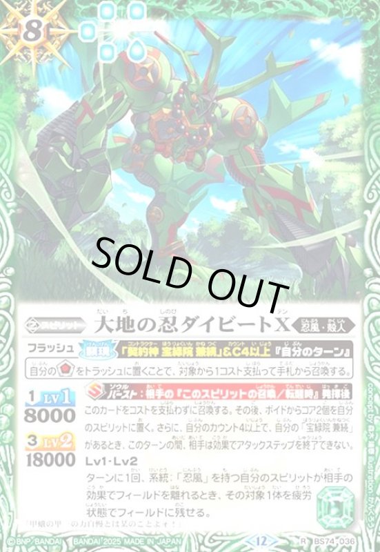 画像1: 天啓龍ティーン(R)(BS74-041) (1)