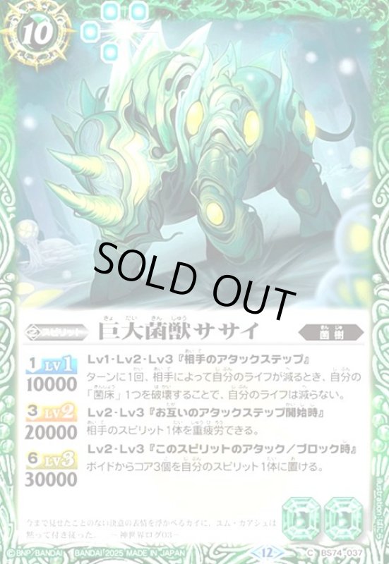 画像1: 天啓龍エーク(C)(BS74-038) (1)