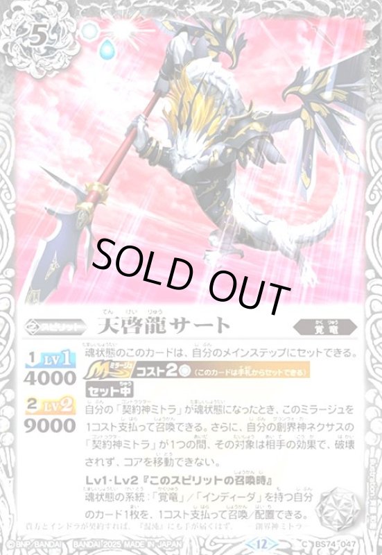 画像1: 天啓龍アート(C)(BS74-048) (1)