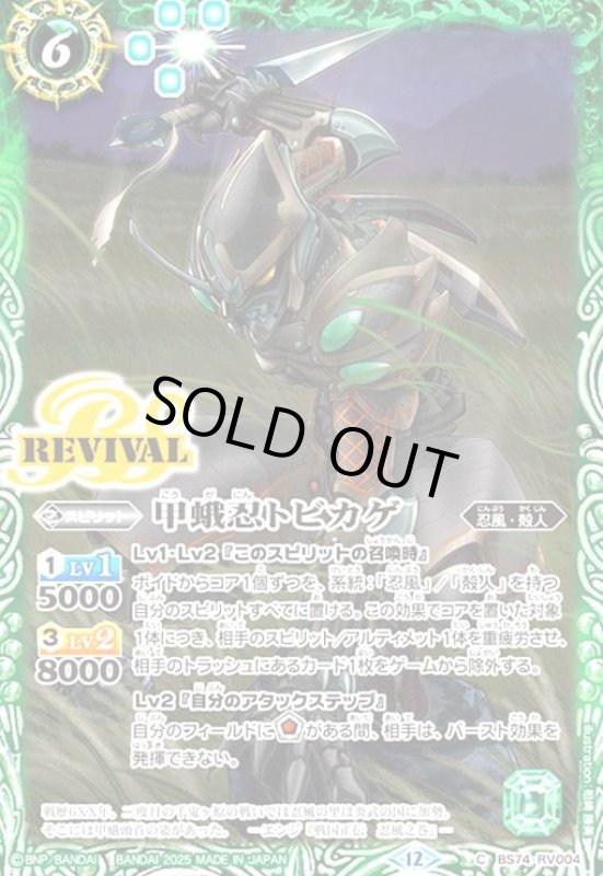 画像1: モリガンの宝石神殿(C)(BS73-070) (1)