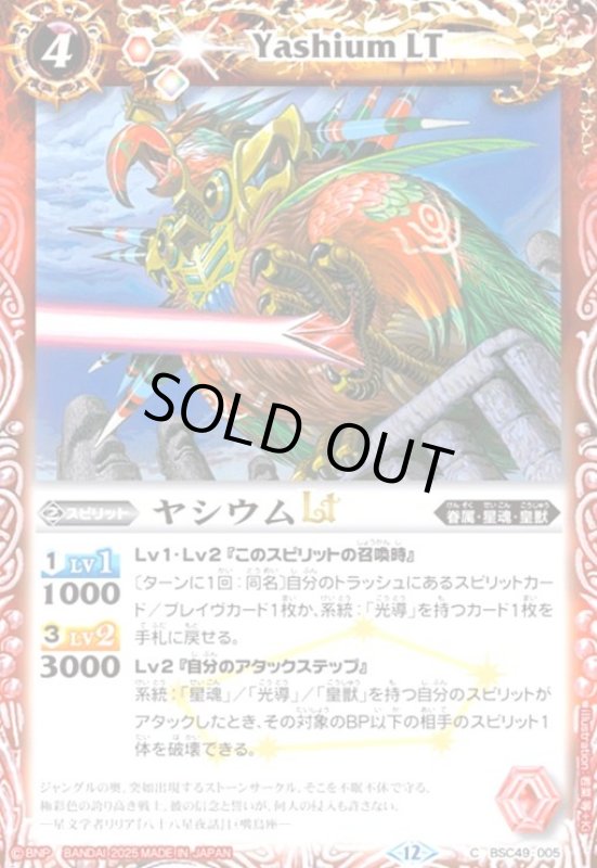 画像1: ヤシウムLT(C)(BSC49-005) (1)