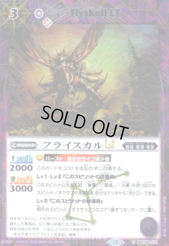 画像1: フライスカルLT(C/SECRET)(BSC49-011) (1)