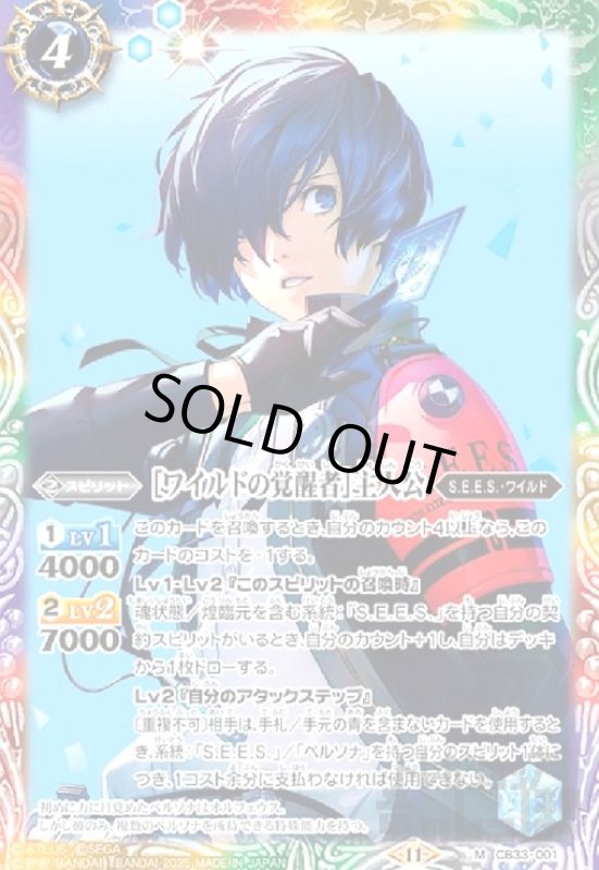 画像1: [ワイルドの覚醒者]主人公(M)(CB33-001) (1)