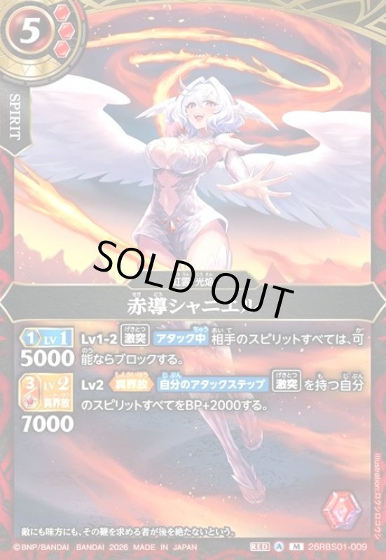 画像1: 赤導シャニエル(M)(26RBS01-009) (1)