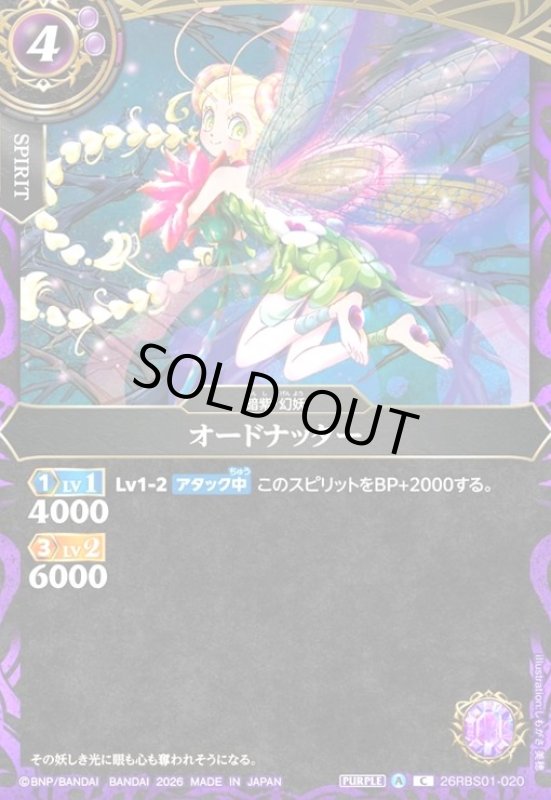 画像1: オードナッター(C)(26RBS01-020) (1)