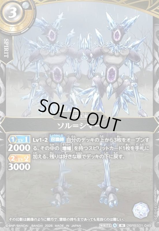 画像1: ソル=シマー(M)(26RBS01-049) (1)