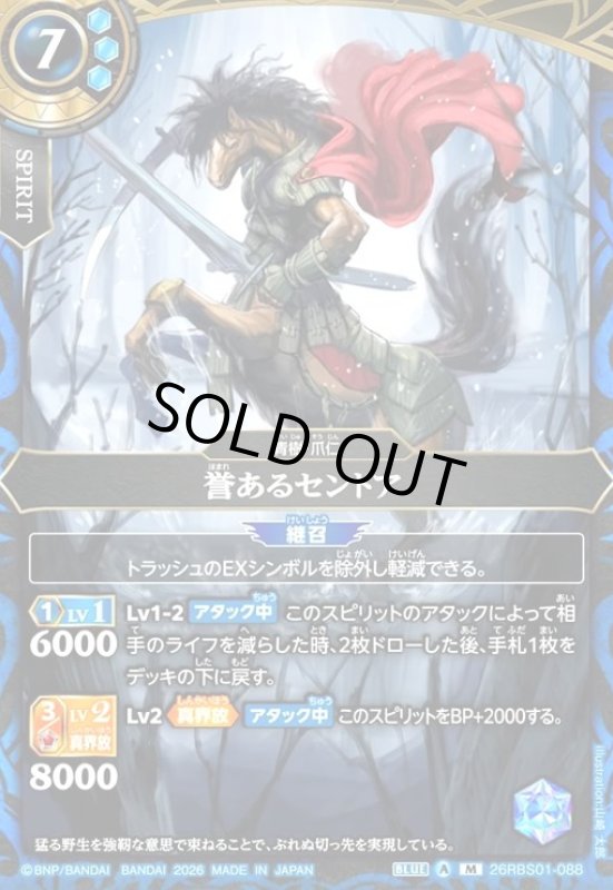 画像1: 誉あるセントア(M)(26RBS01-088) (1)