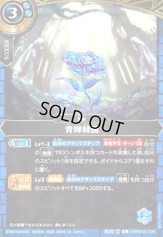 画像1: 青輝棘園(C)(26RBS01-106) (1)