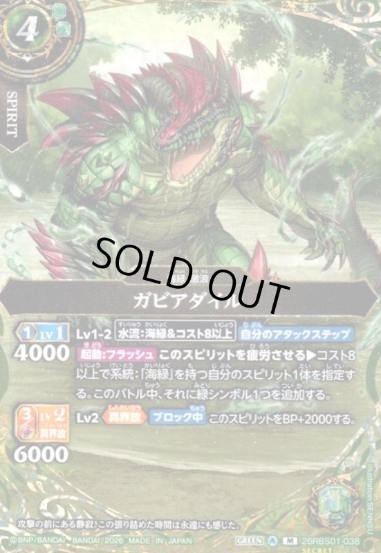 画像1: ガビアダイル(M/SECRET)(26RBS01-038) (1)