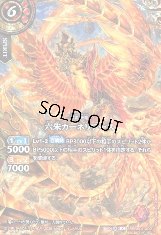 画像1: 六朱カーネリアース(X/SECRET)(26RBS01-X02) (1)