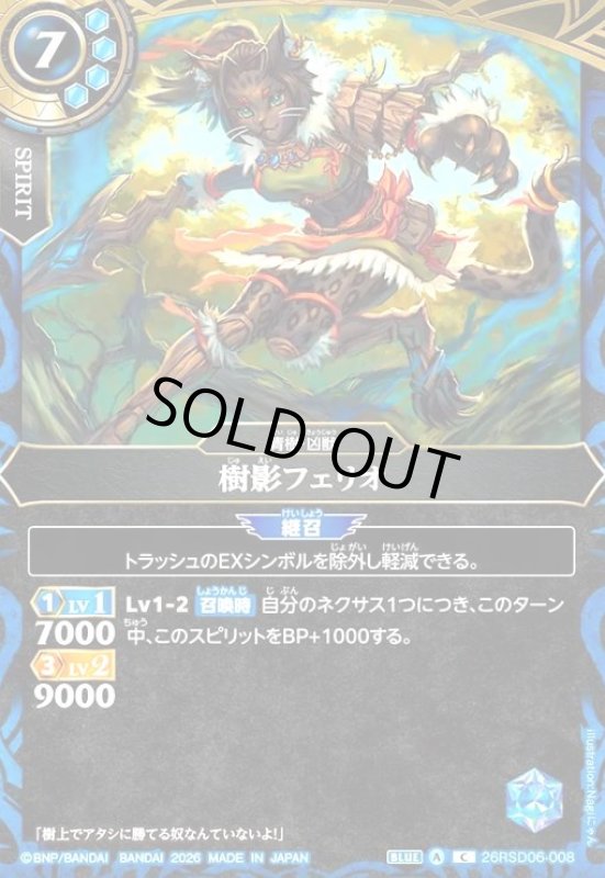 画像1: 樹影フェリオ(C)(26RSD06-008C) (1)