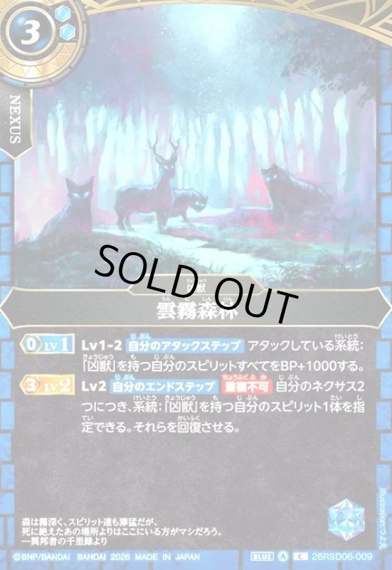 画像1: 雲霧森林(C)(26RSD06-009C) (1)