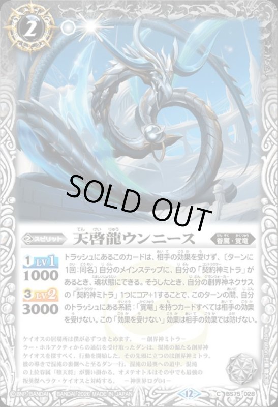 画像1: 天啓龍ウンニース(C)(BS75-028) (1)