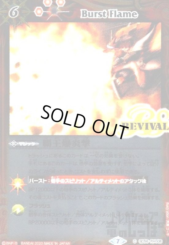 画像1: 覇王爆炎撃 (1)