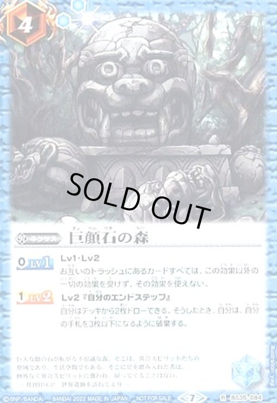 画像1: 巨顔石の森(R/C仕様)(BS35-084) (1)