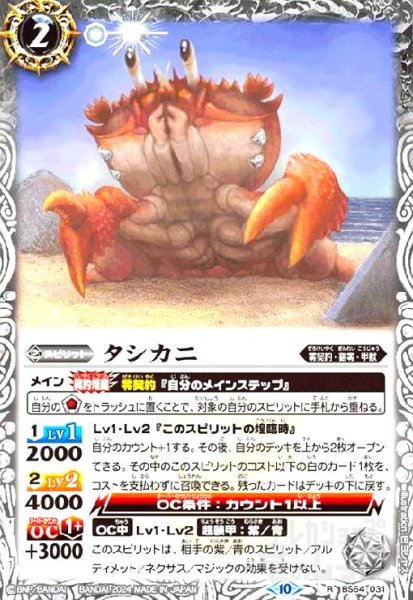 画像1: タシカニ(R/X仕様)(BS64-031) (1)