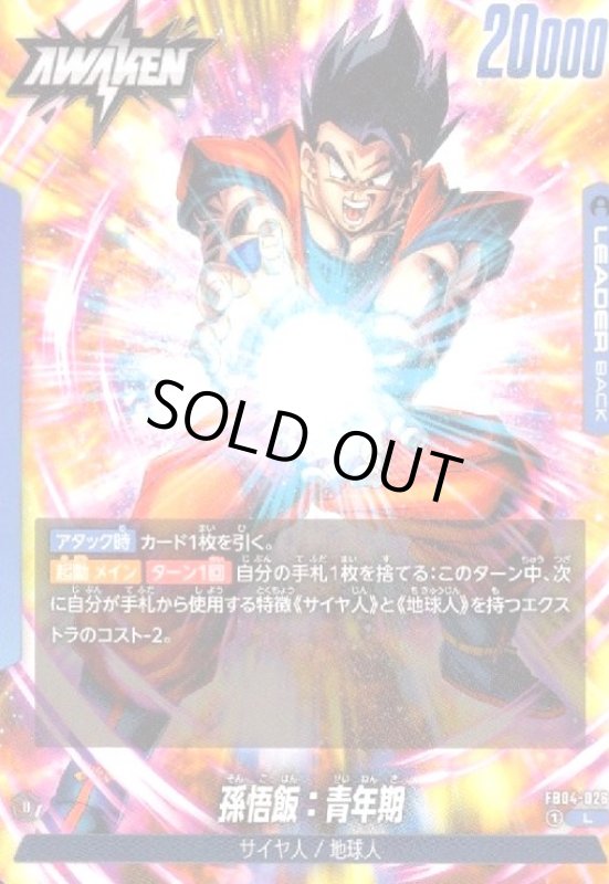 画像1: 孫悟飯:青年期(L)(FB04-026) (1)