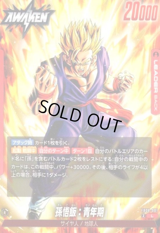 画像1: 孫悟飯:青年期(L)(FB08-001) (1)