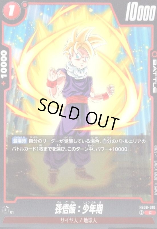 画像1: 孫悟飯:少年期(C)(FB08-010) (1)