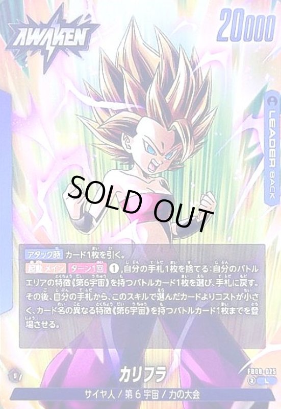 画像1: カリフラ(L)(FB08-025) (1)