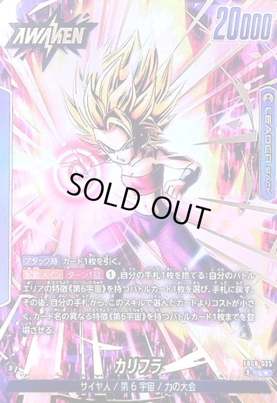 画像1: カリフラ(L★)(FB08-025) (1)