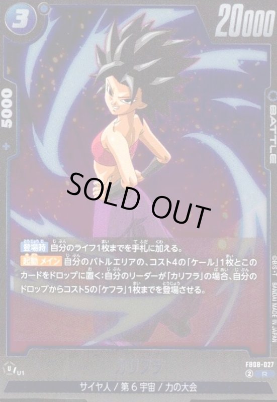 画像1: カリフラ(R)(FB08-027) (1)