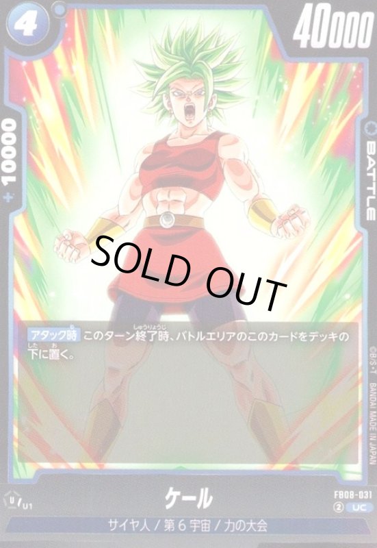 画像1: ケール(UC)(FB08-031) (1)