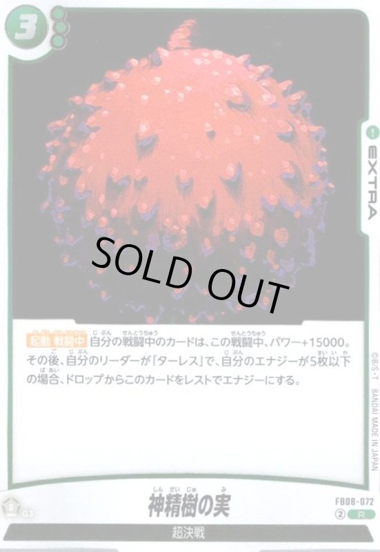 画像1: 神精樹の実(R)(FB08-072) (1)