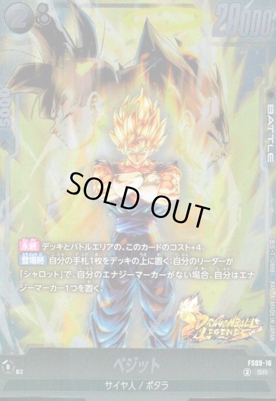 画像1: ベジット(SR)(FS09-16) (1)