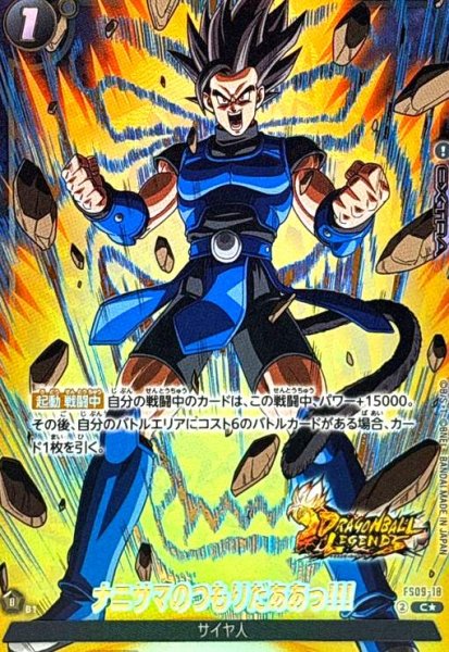 画像1: ナニサマのつもりだああっ!!!(C★)(FS09-18) (1)