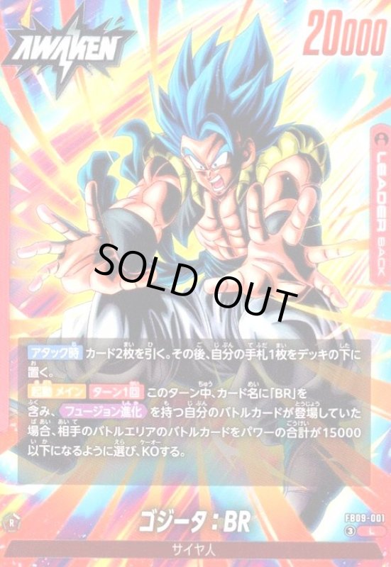 画像1: ゴジータ:BR(L)(FB09-001) (1)