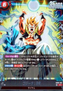 DUAL EVOLUTION [FB09] - トレカショップ竜のしっぽ2号店