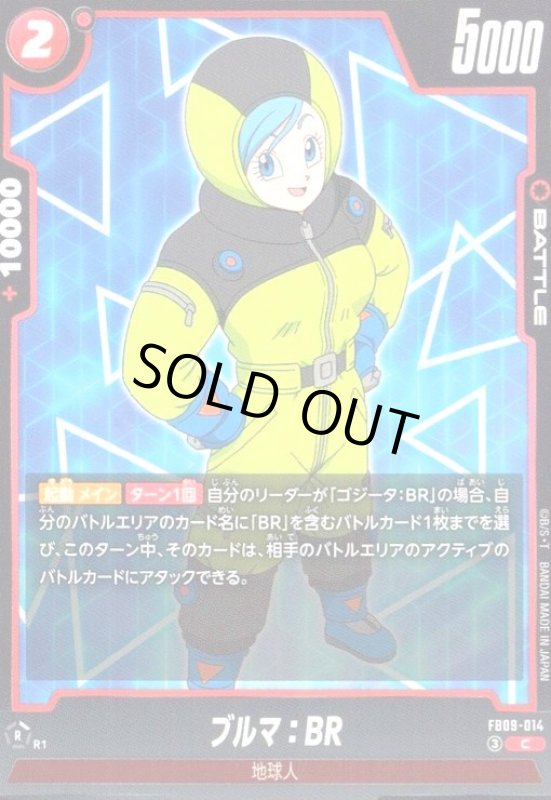 画像1: ブルマ:BR(C)(FB09-014) (1)