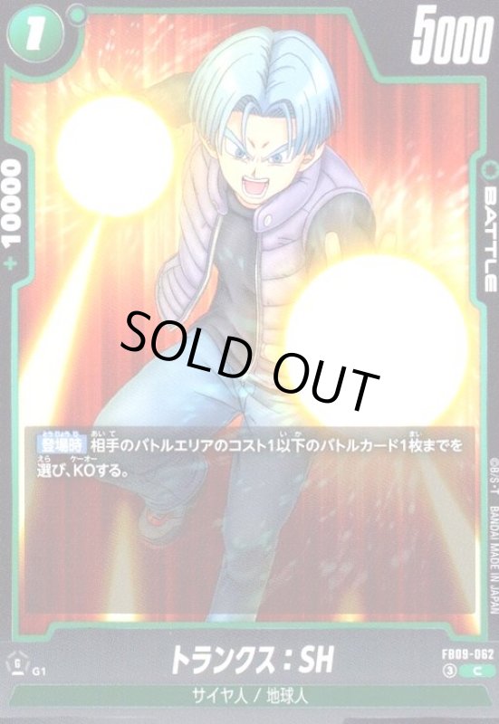 画像1: トランクス:SH(C)(FB09-062) (1)