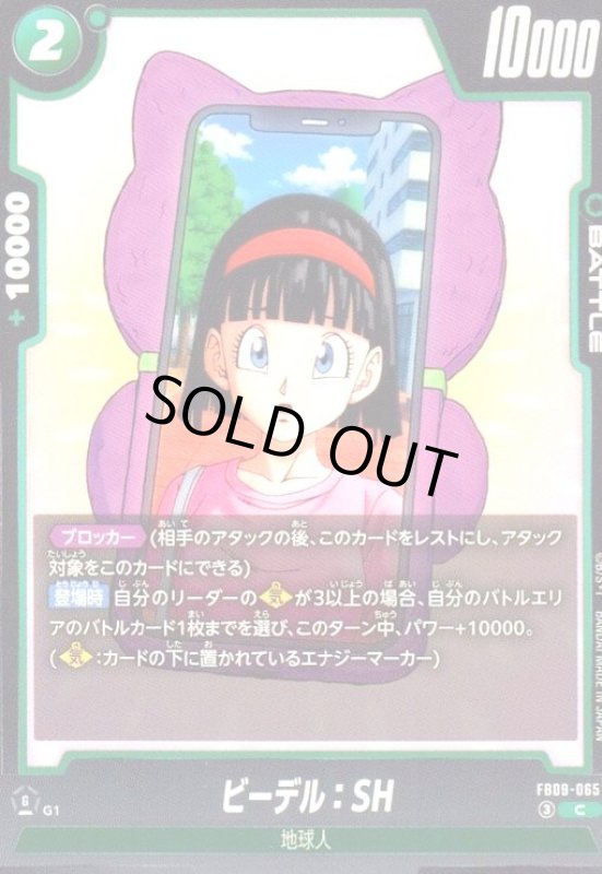 画像1: ビーデル:SH(C)(FB09-065) (1)