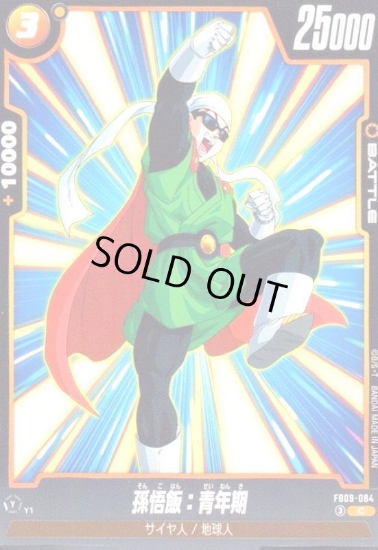 画像1: 孫悟飯:青年期(C)(FB09-084) (1)