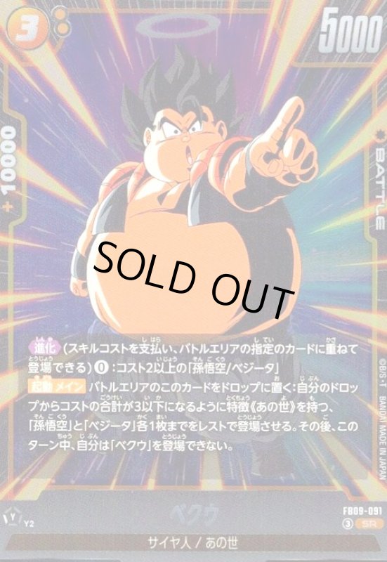 画像1: ベクウ(SR)(FB09-091) (1)