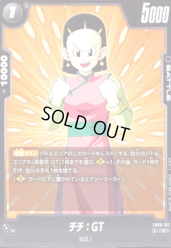 画像1: チチ:GT(C)(FB09-107) (1)