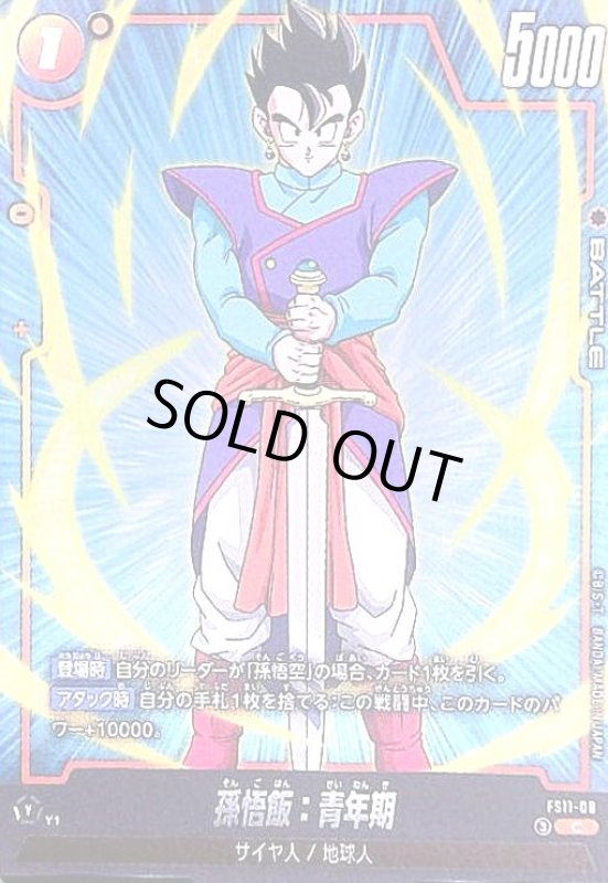 画像1: 孫悟飯:青年期(C)(FS11-08) (1)