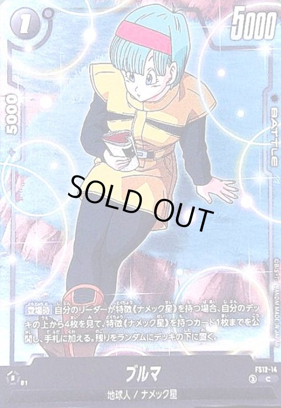 画像1: ブルマ(C)(FS12-14) (1)